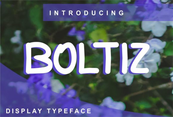 Choosing Boltiz for a Product Launch Campaign