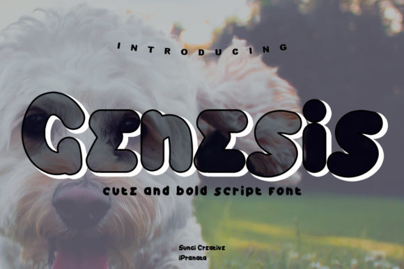 Choosing the Genesis Display Font for a More Friendly Website