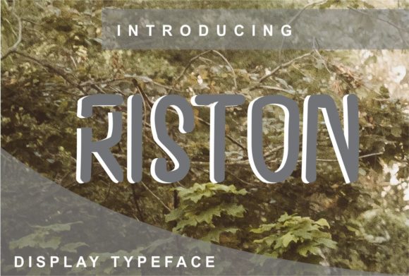 Riston: A Modern Display Font for Polished Branding