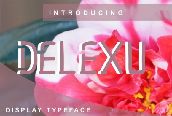 Why Delexu is My Favorite Clean and Adaptable Display Font